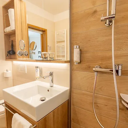 Hotel Histrion 4*
